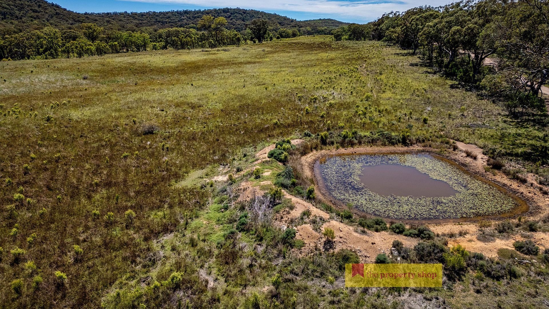 2493 Sandy Creek Road, Gulgong NSW 2852, Image 0