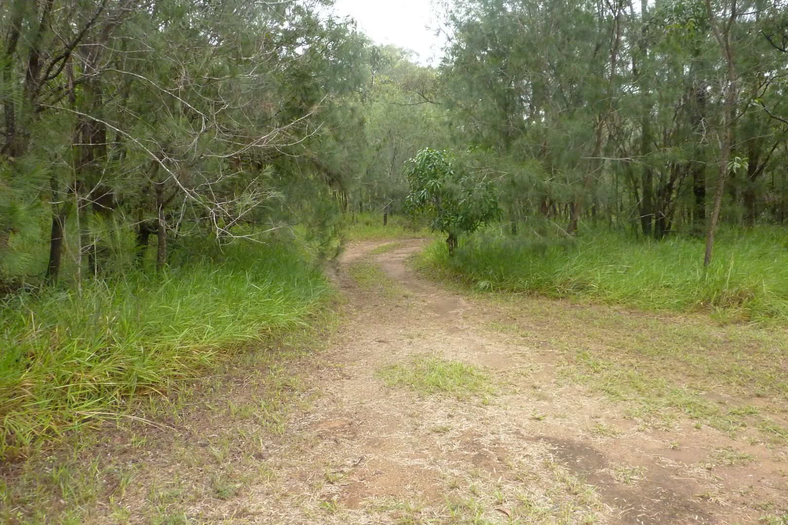 lot 22 Grant, Herberton QLD 4887, Image 2