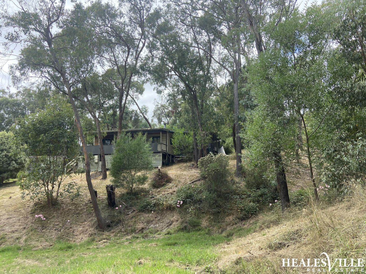 48 Lowes Road, Chum Creek VIC 3777, Image 1