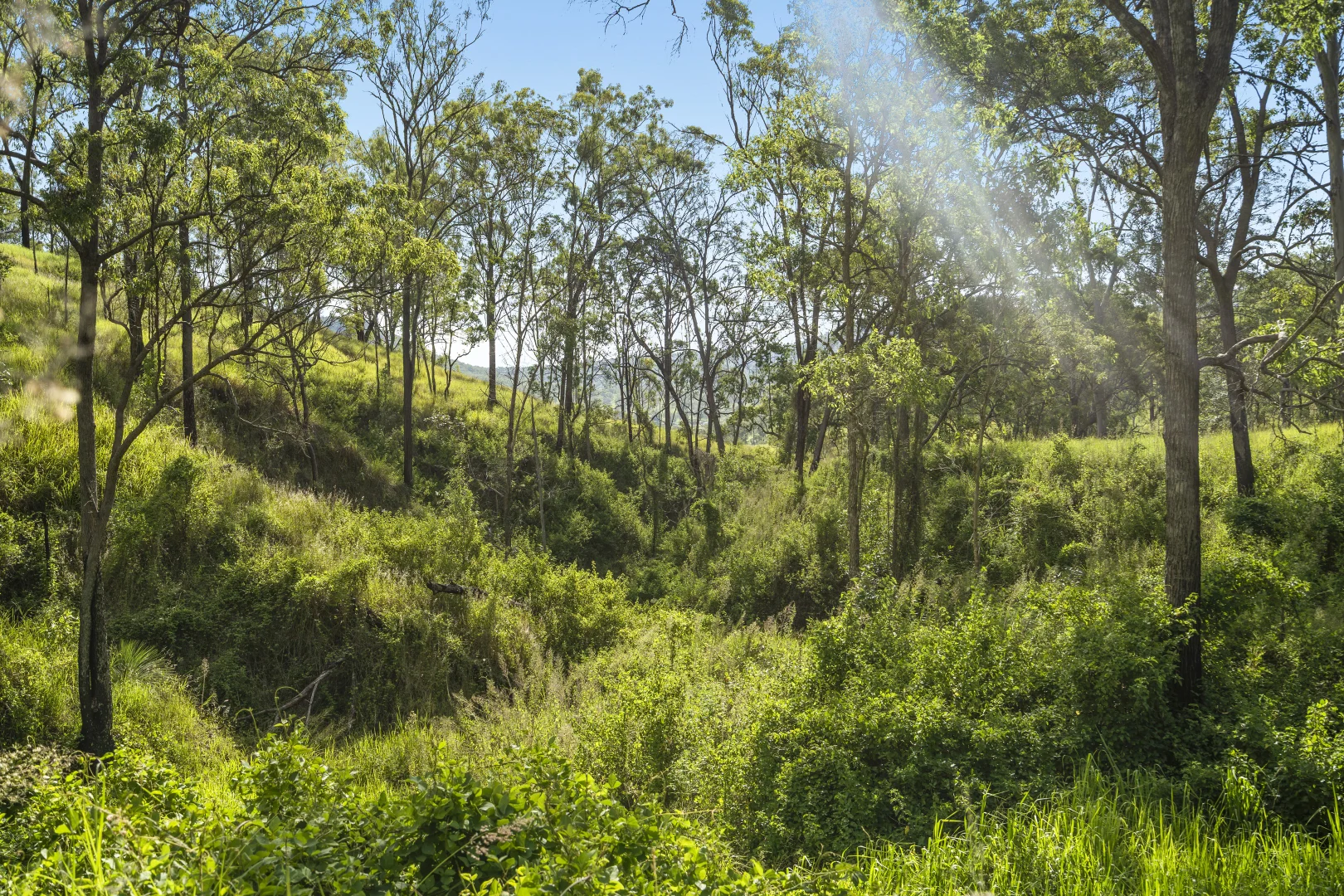 Image 17