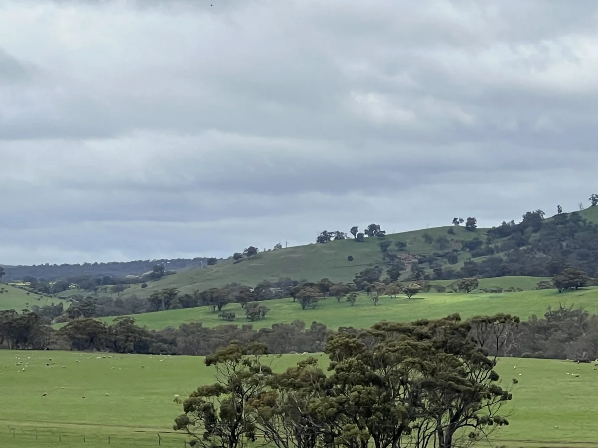 Image 12