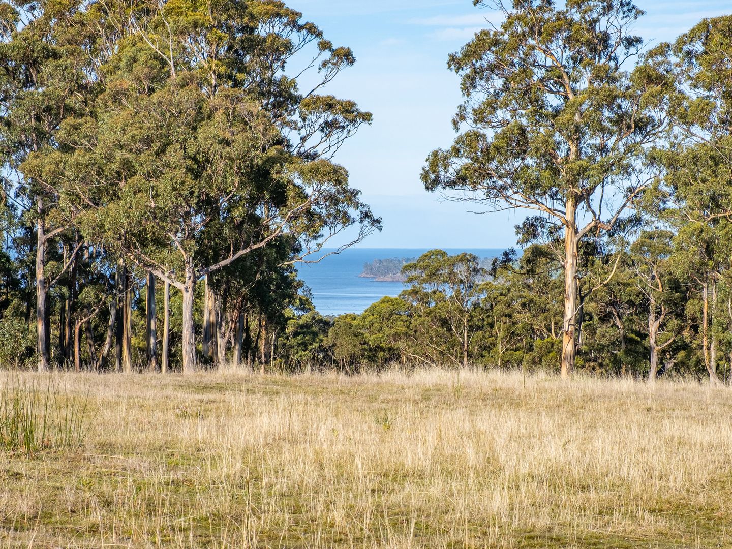 2 Wills Road, Abels Bay TAS 7112, Image 1