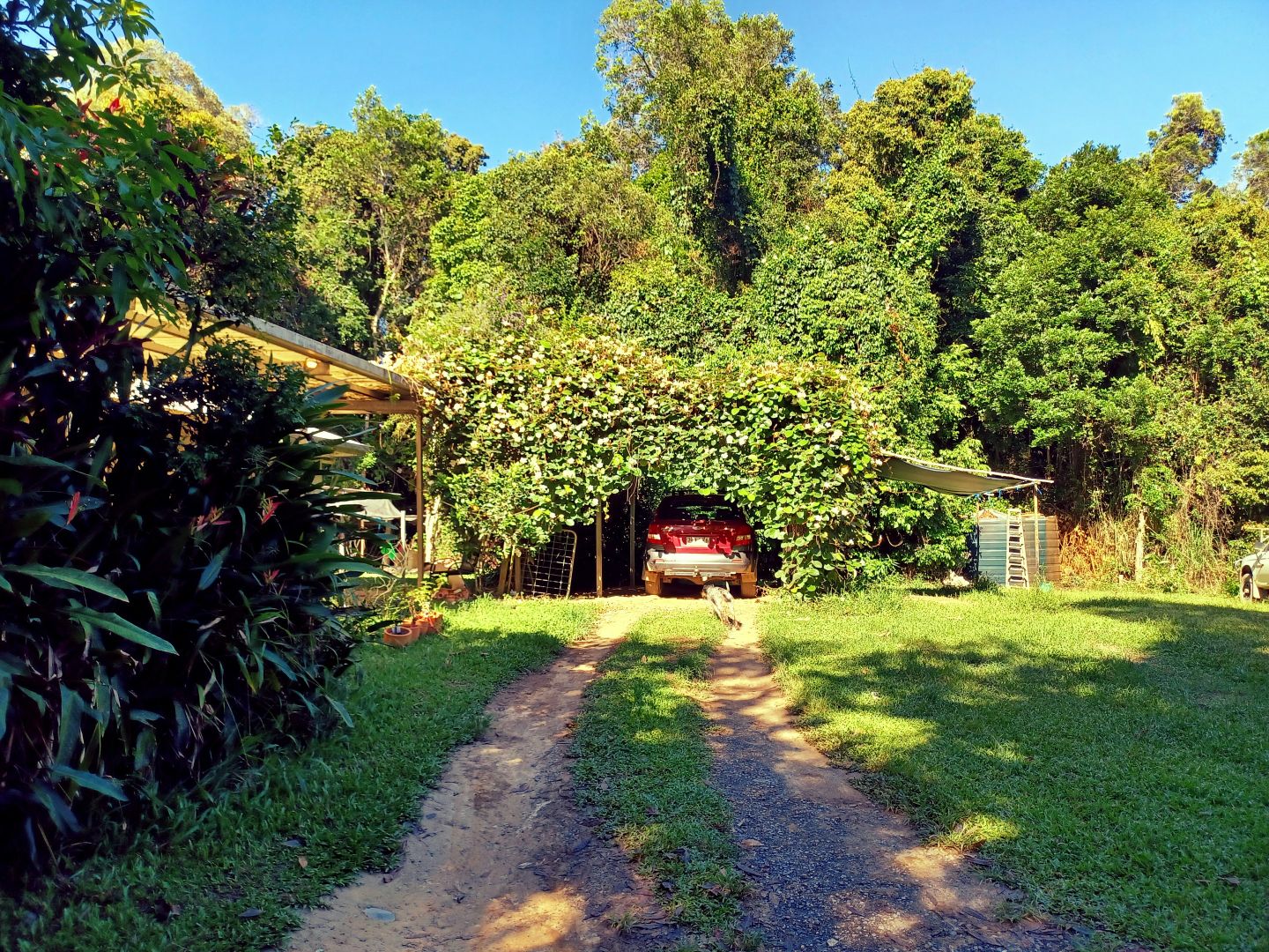 400 Oak Forest Road, Kuranda QLD 4881, Image 1