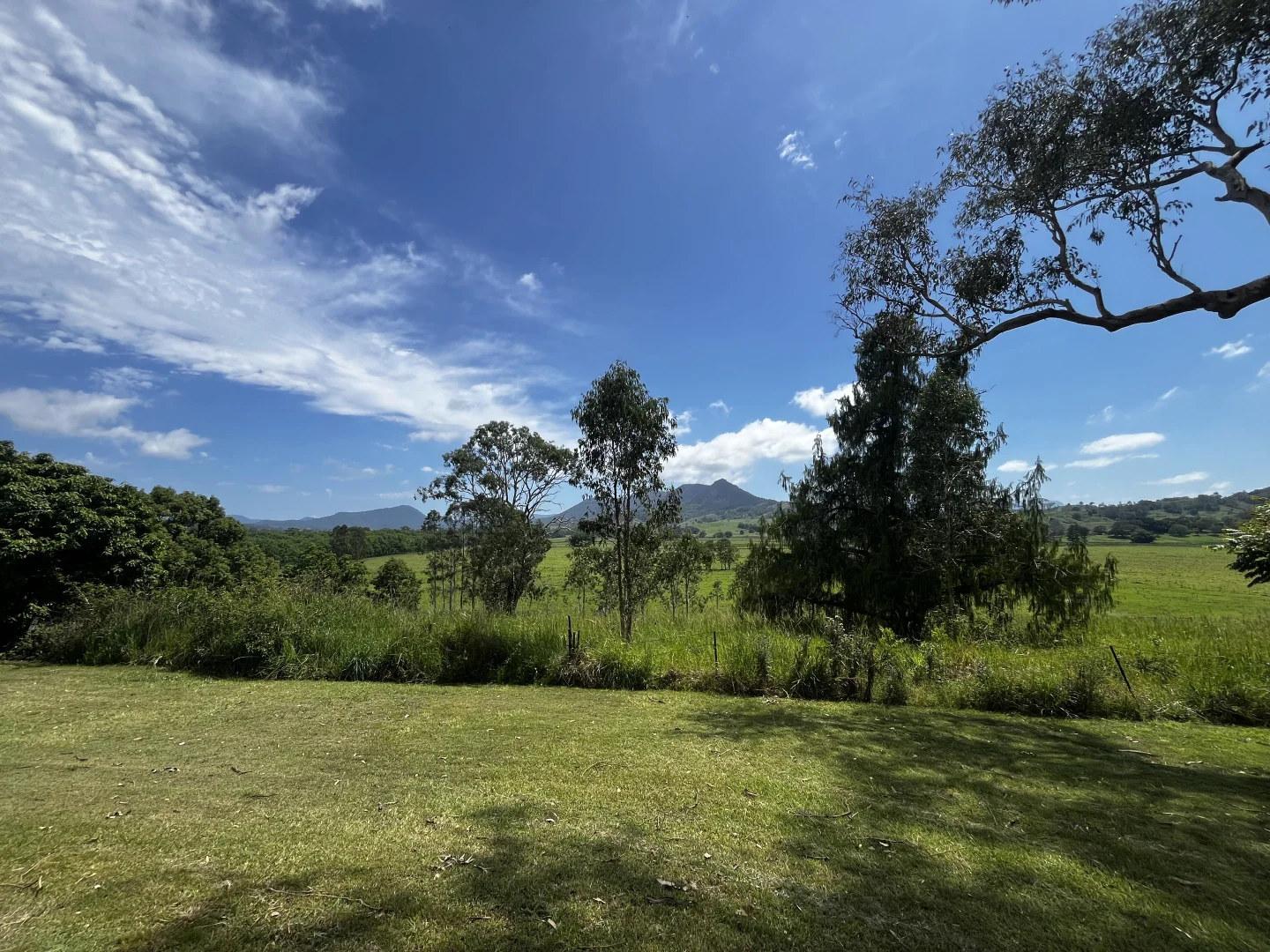 Image 31