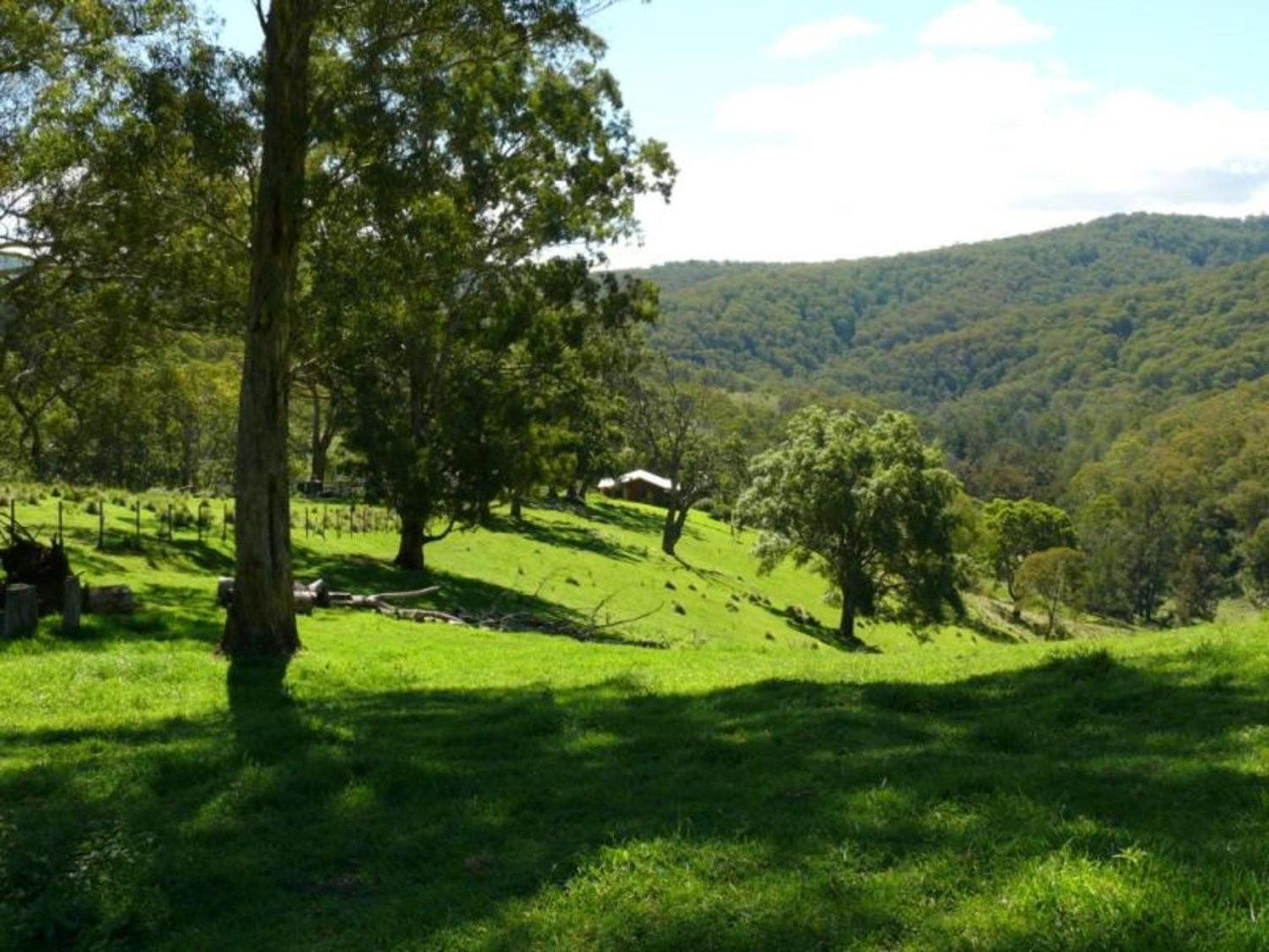 Chittick/700 Shearers Road, Hanging Rock NSW 2340, Image 0