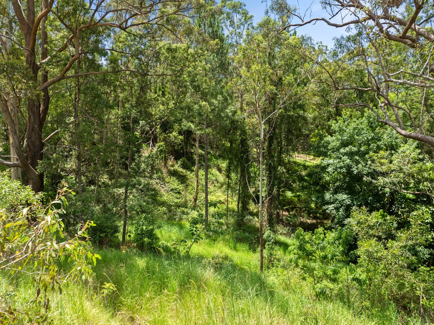 Image 15