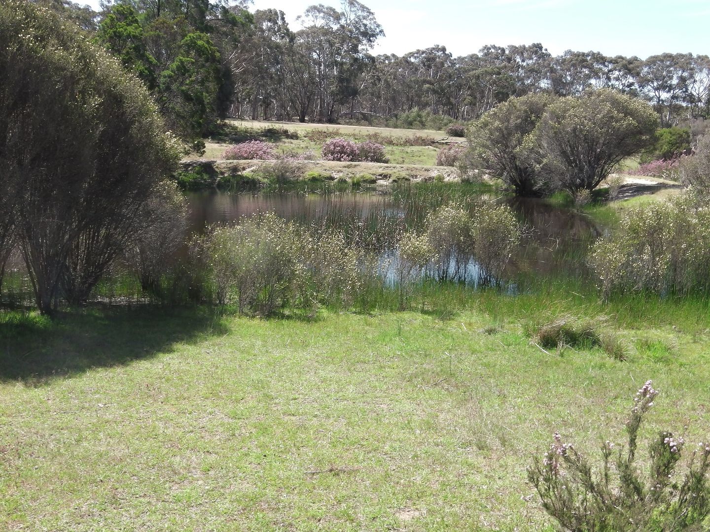 Lot 12 Lower Boro Road, Tarago NSW 2580, Image 2