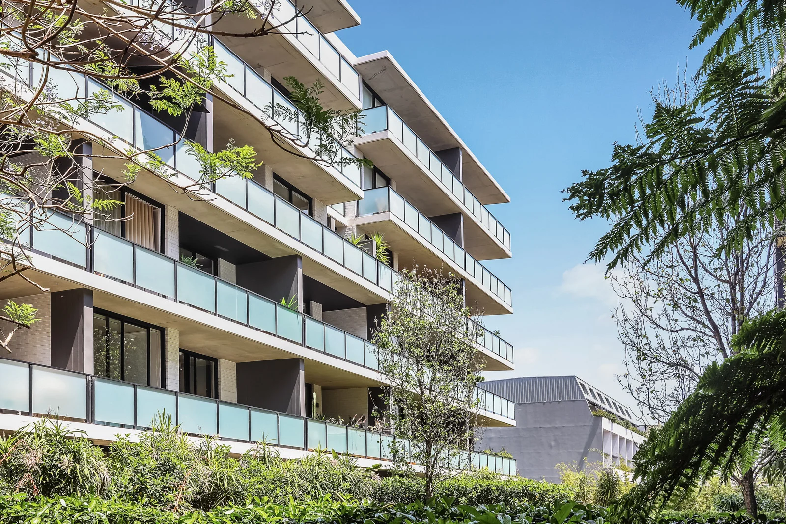 21b/356 George Street, Waterloo NSW 2017