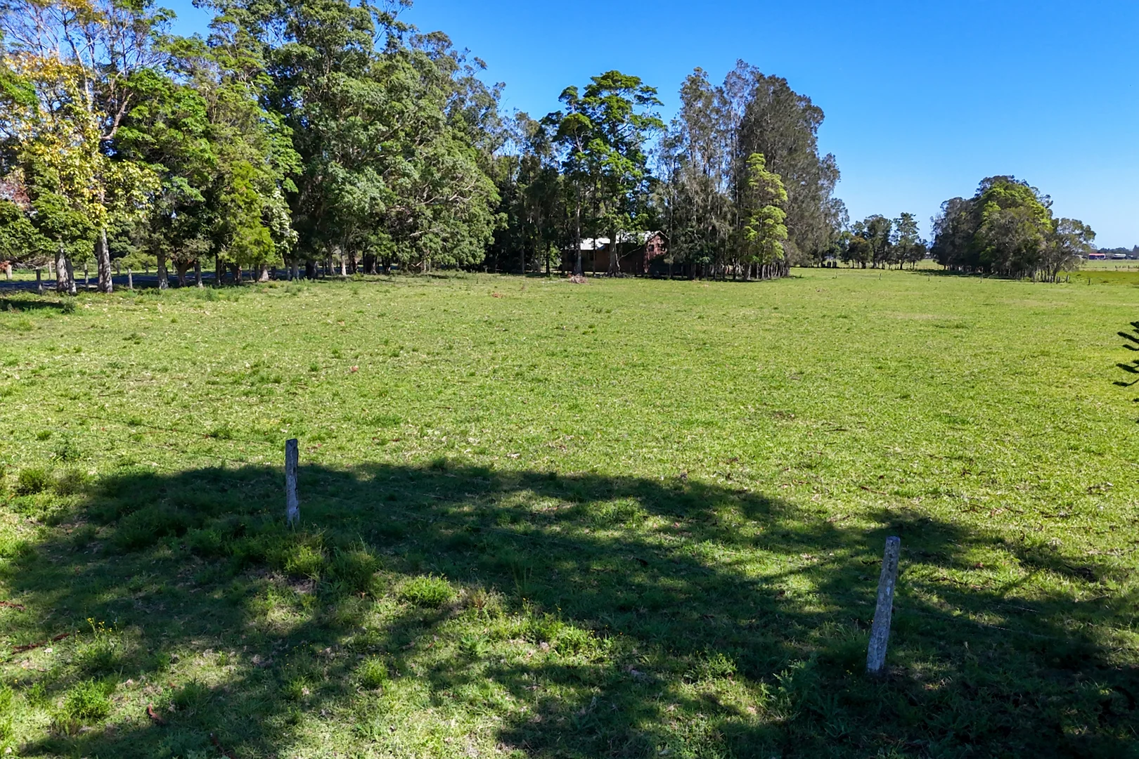 Image 15