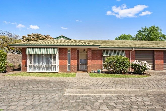 Picture of 1/6 Churchill Avenue, CLARENCE PARK SA 5034