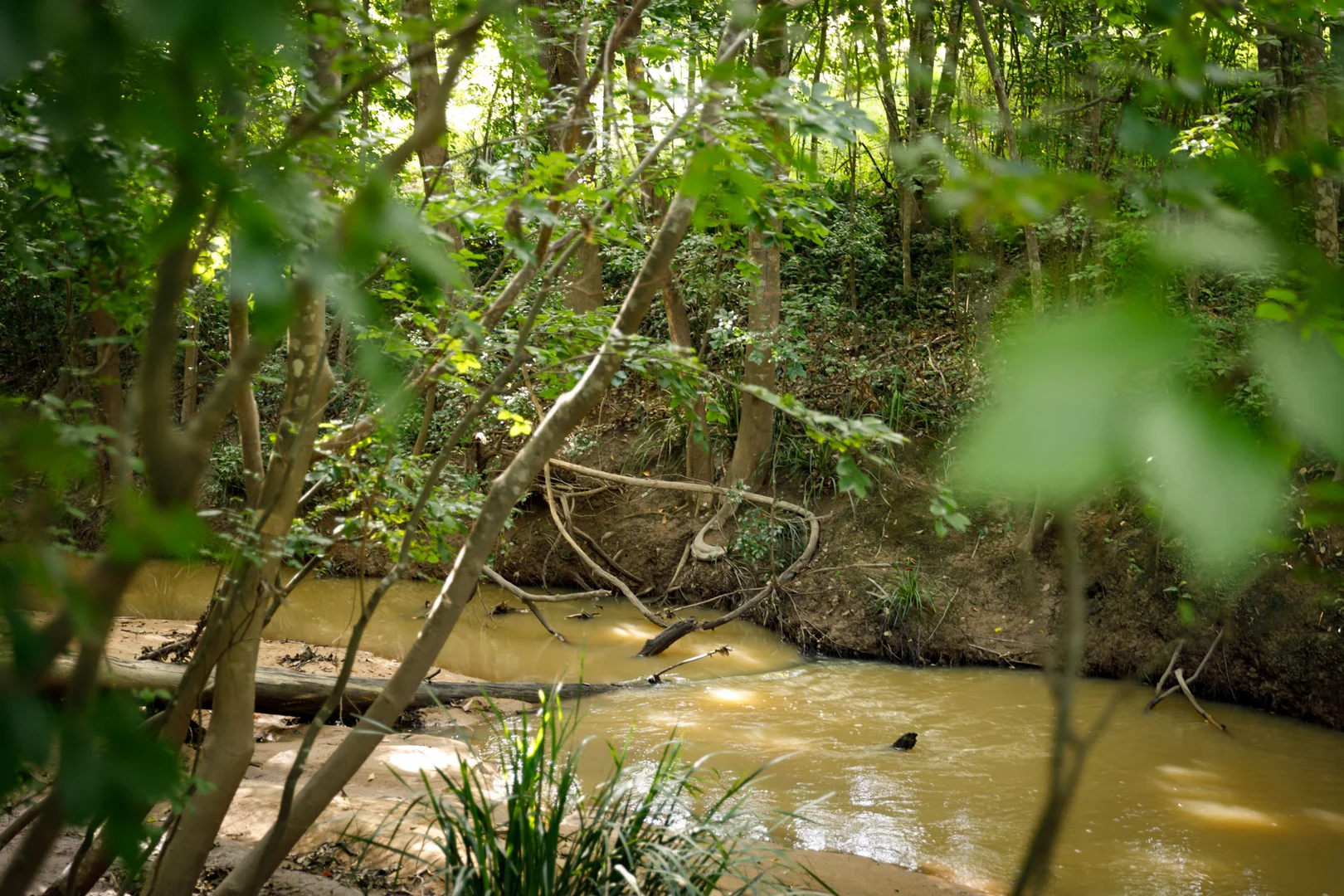 Additional image 19 of 4 Harrison Court, Camira QLD 4300