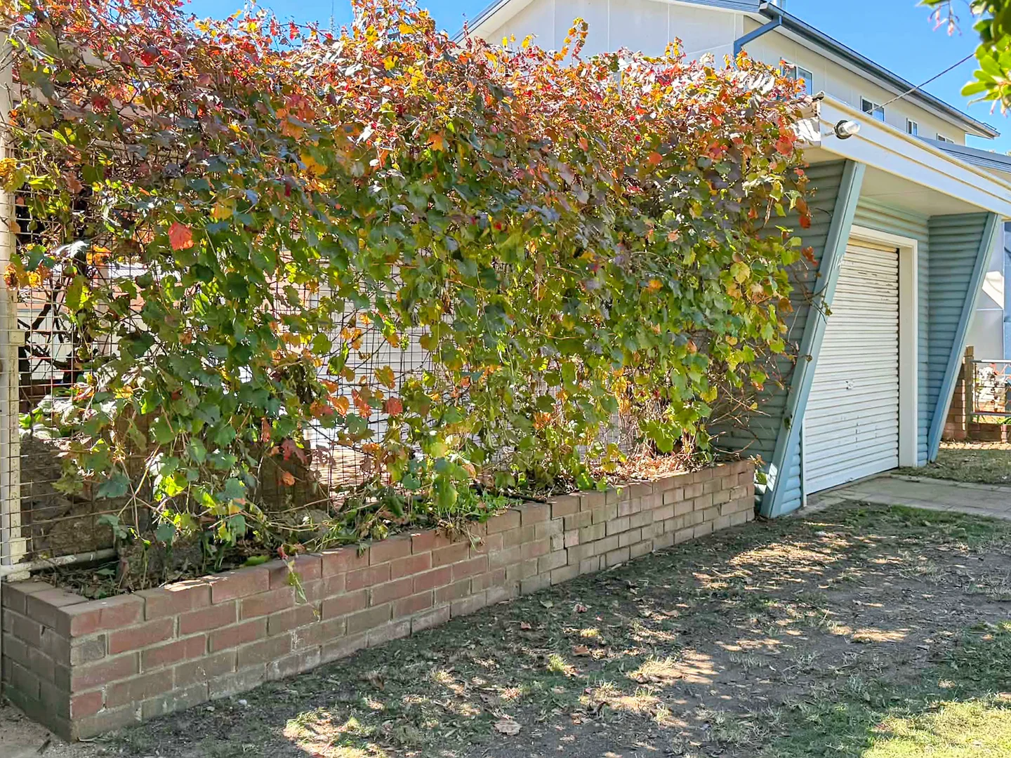 Additional image 4 of 14 Binalong Street, Young NSW 2594