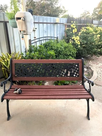 Image 11