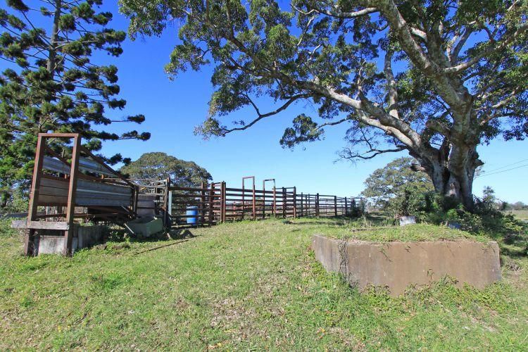 125b & 98b Cook Road, Marom Creek NSW 2480, Image 2