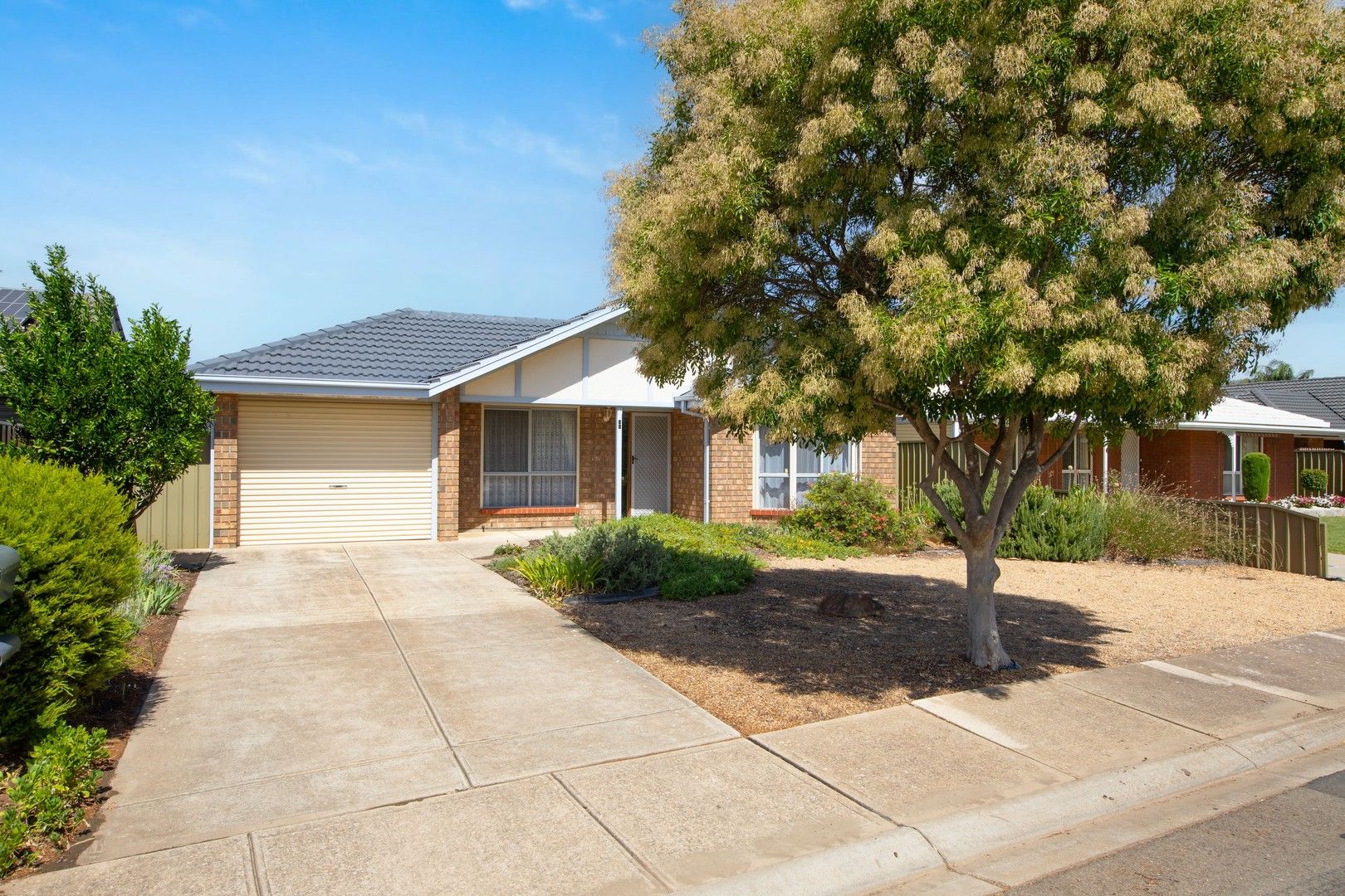 55 Greenfields Drive, Andrews Farm SA 5114, Image 0