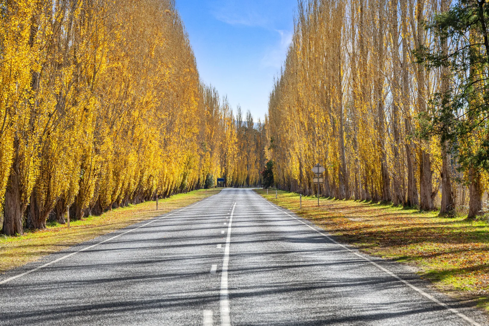 Additional image 10 of 5/4 Sedgwick Street, Marysville VIC 3779