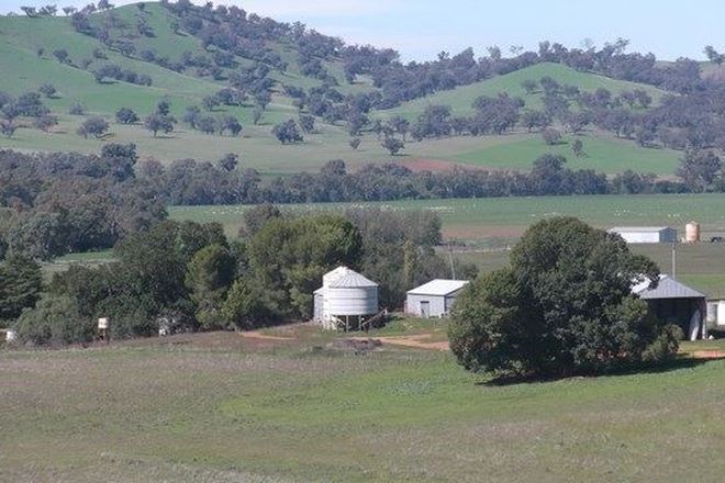 Picture of Lautoka Finlay's Lane, MUTTAMA NSW 2722