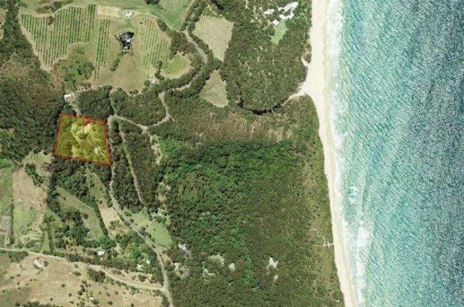 Picture of 405 Grassy Head Road, GRASSY HEAD NSW 2441