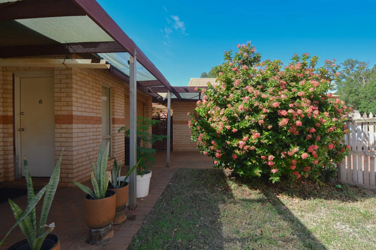 Image 21