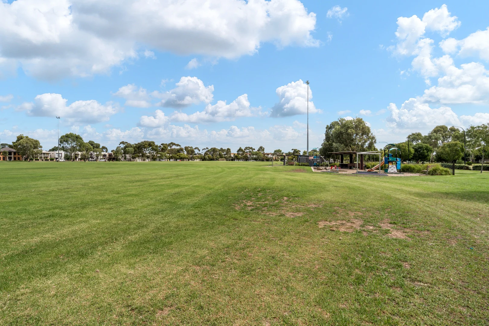 Image 15