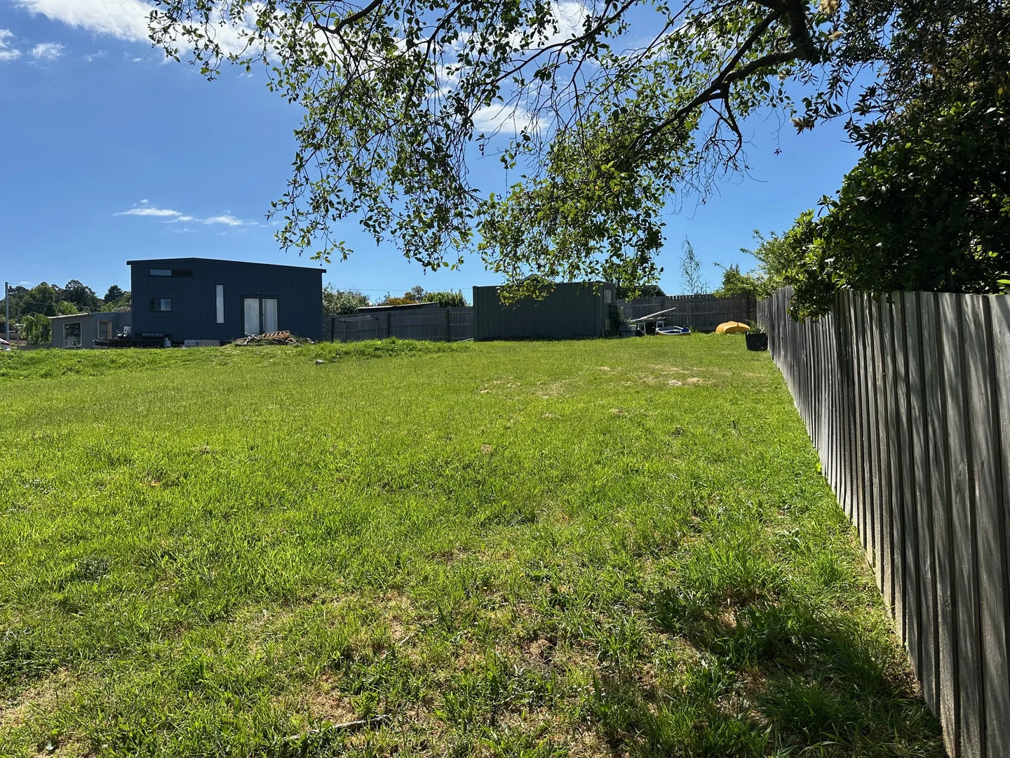 Image 6