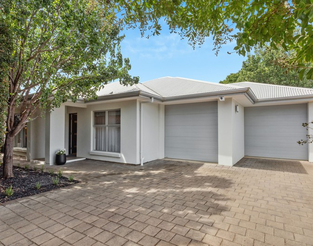 29A Devon Street North, Goodwood SA 5034