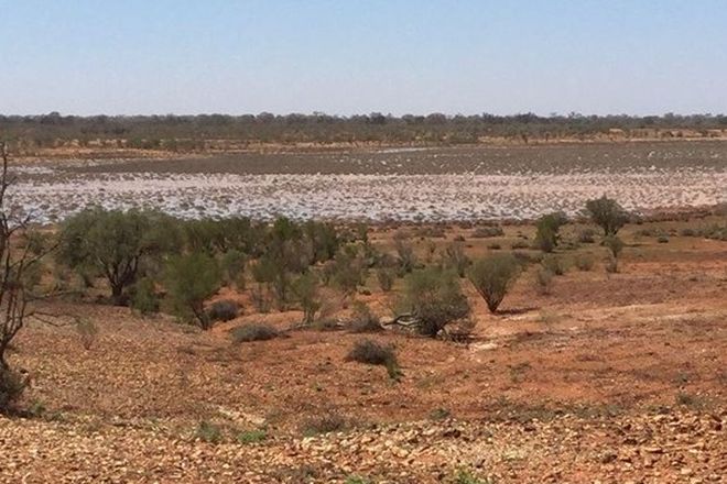 Picture of * Yamaramie Station, TILPA NSW 2840