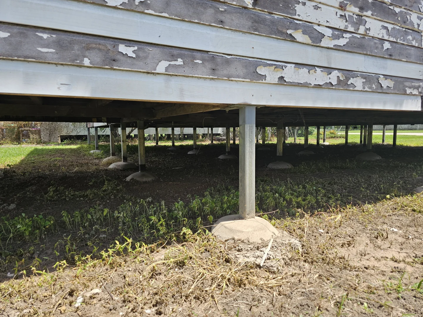 Image 13