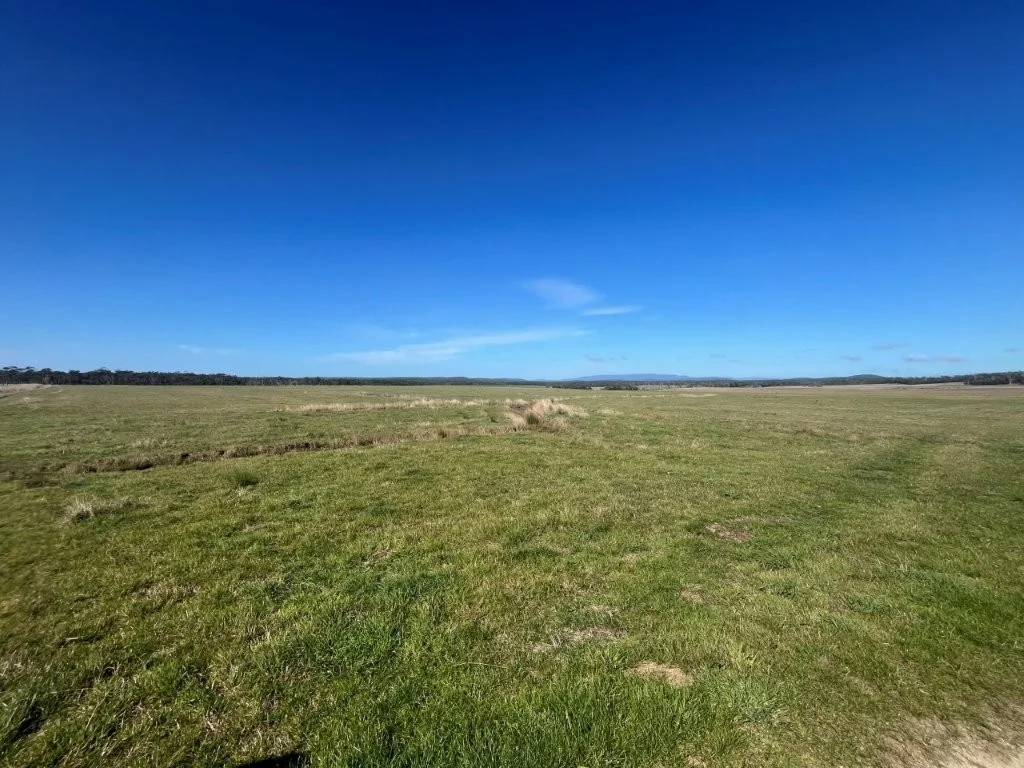 Additional image 12 of 559 North Ansons Road, Gladstone TAS 7264