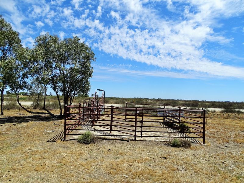 Macorna Road, Macorna VIC 3579, Image 2