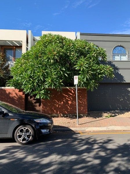 2 bedrooms House in 1/70 Sheldon Street NORWOOD SA, 5067