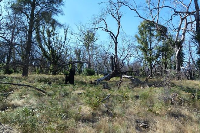 Picture of Lot 2 Mount Bolton Road, MOUNT BOLTON VIC 3352