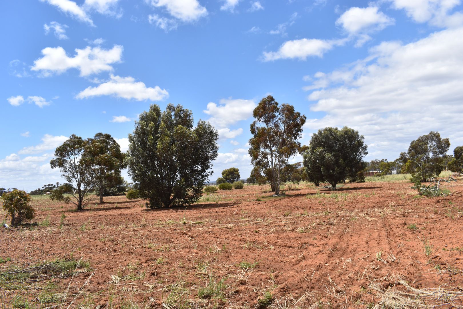 1504 Pine Hut Road, Sedan SA 5353 Domain