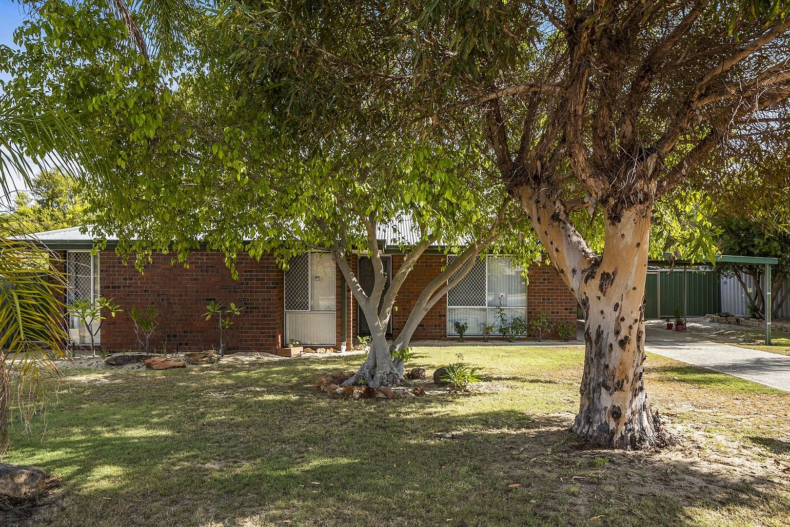 8 Shearwater Terrace, Ballajura WA 6066, Image 0