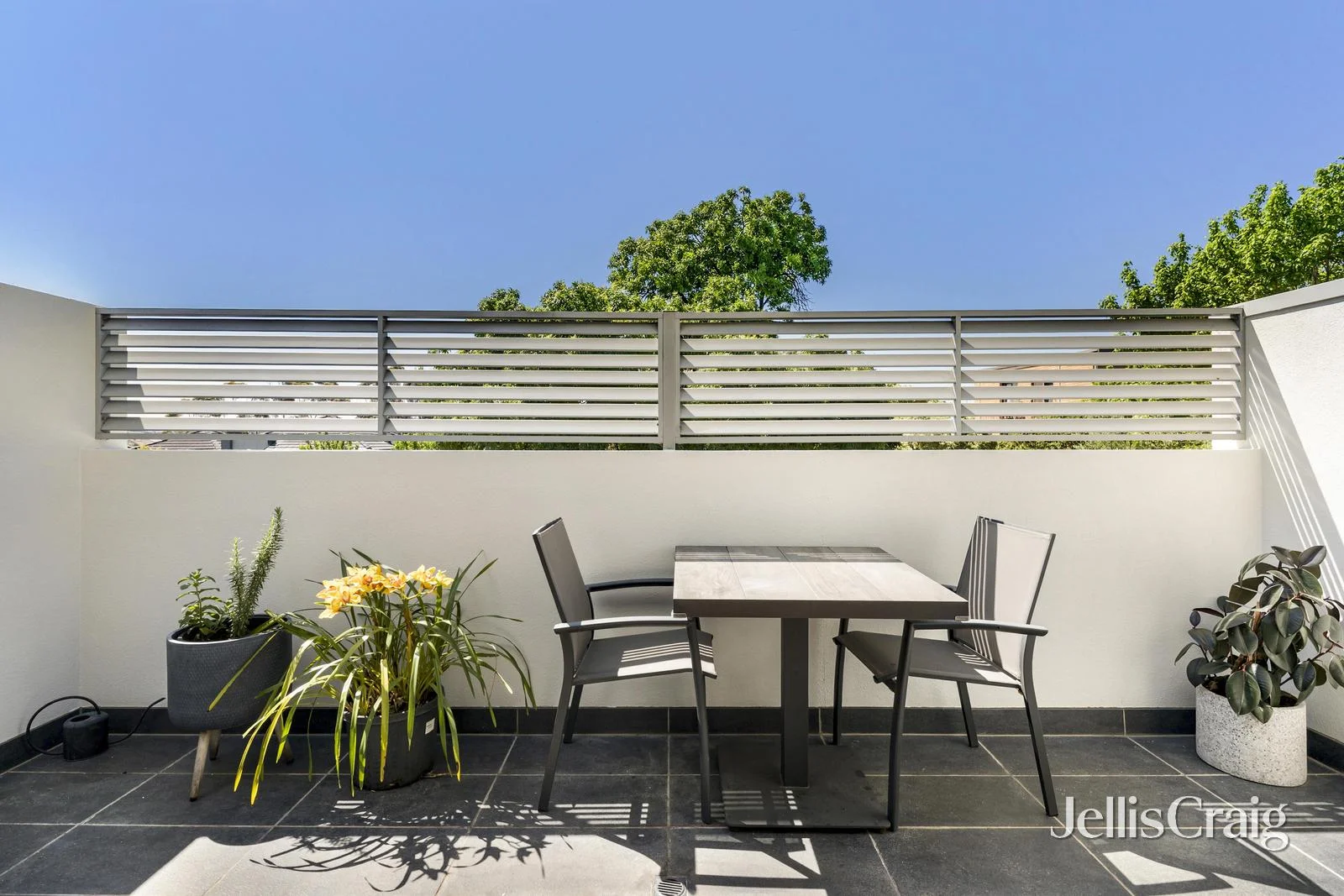 8/20 Glass Street, Essendon VIC 3040 | Domain