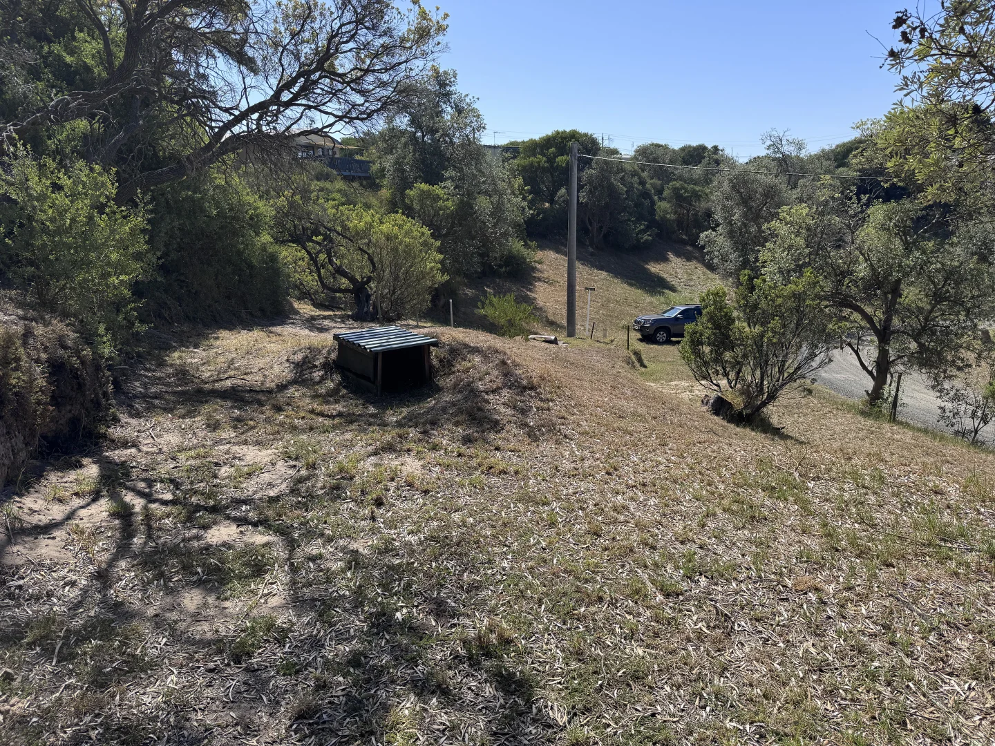 Image 10