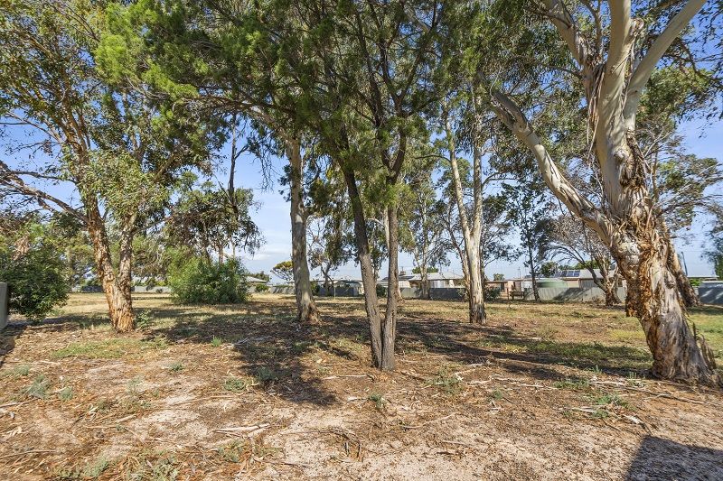 113 McCutcheon Street, Waikerie SA 5330, Image 2