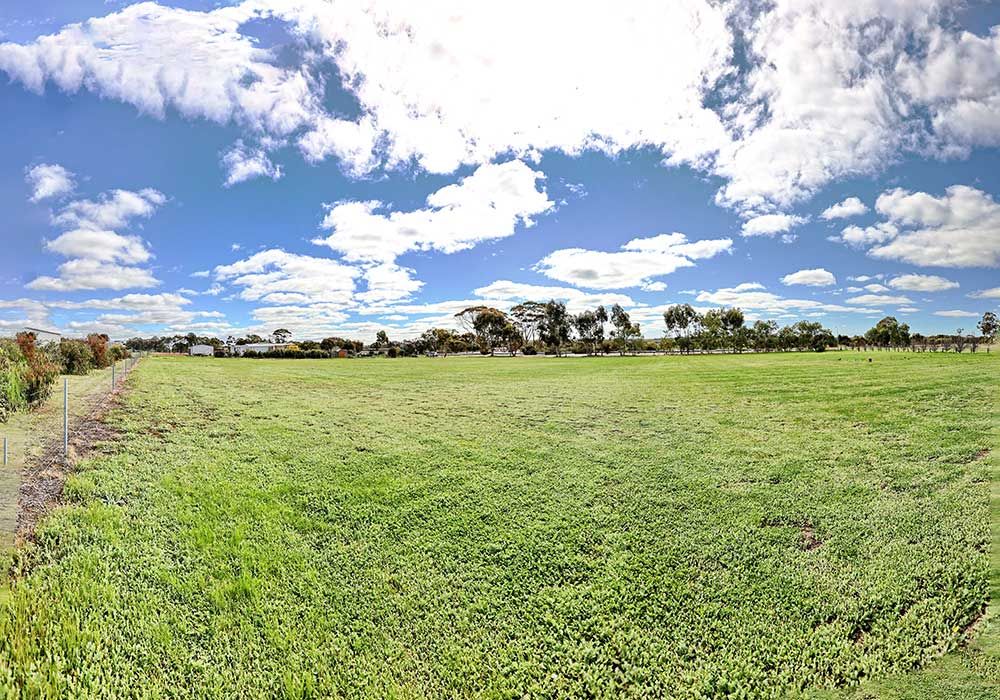 5 Curlew Way, Wickepin WA 6370 Domain