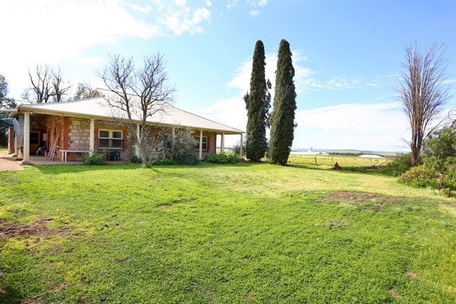 Picture of 70 Barunga Homestead Road, SNOWTOWN SA 5520