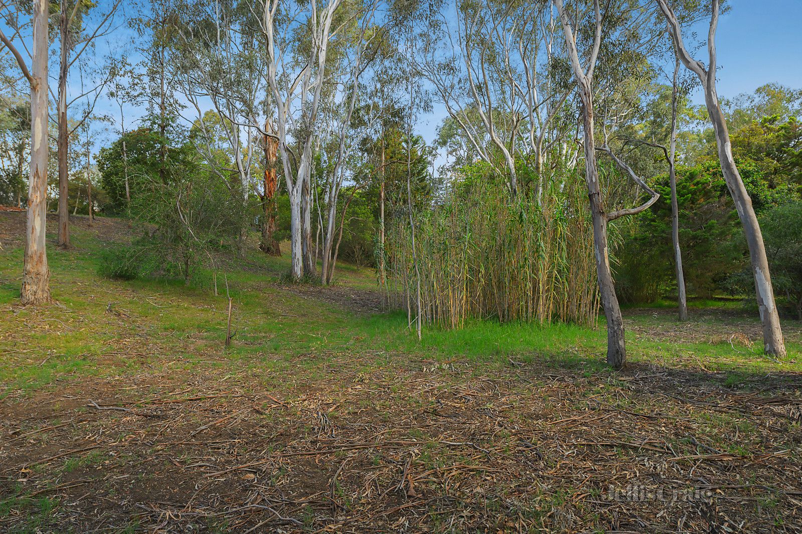 5A/30 Dellas Avenue, Templestowe VIC 3106, Image 1