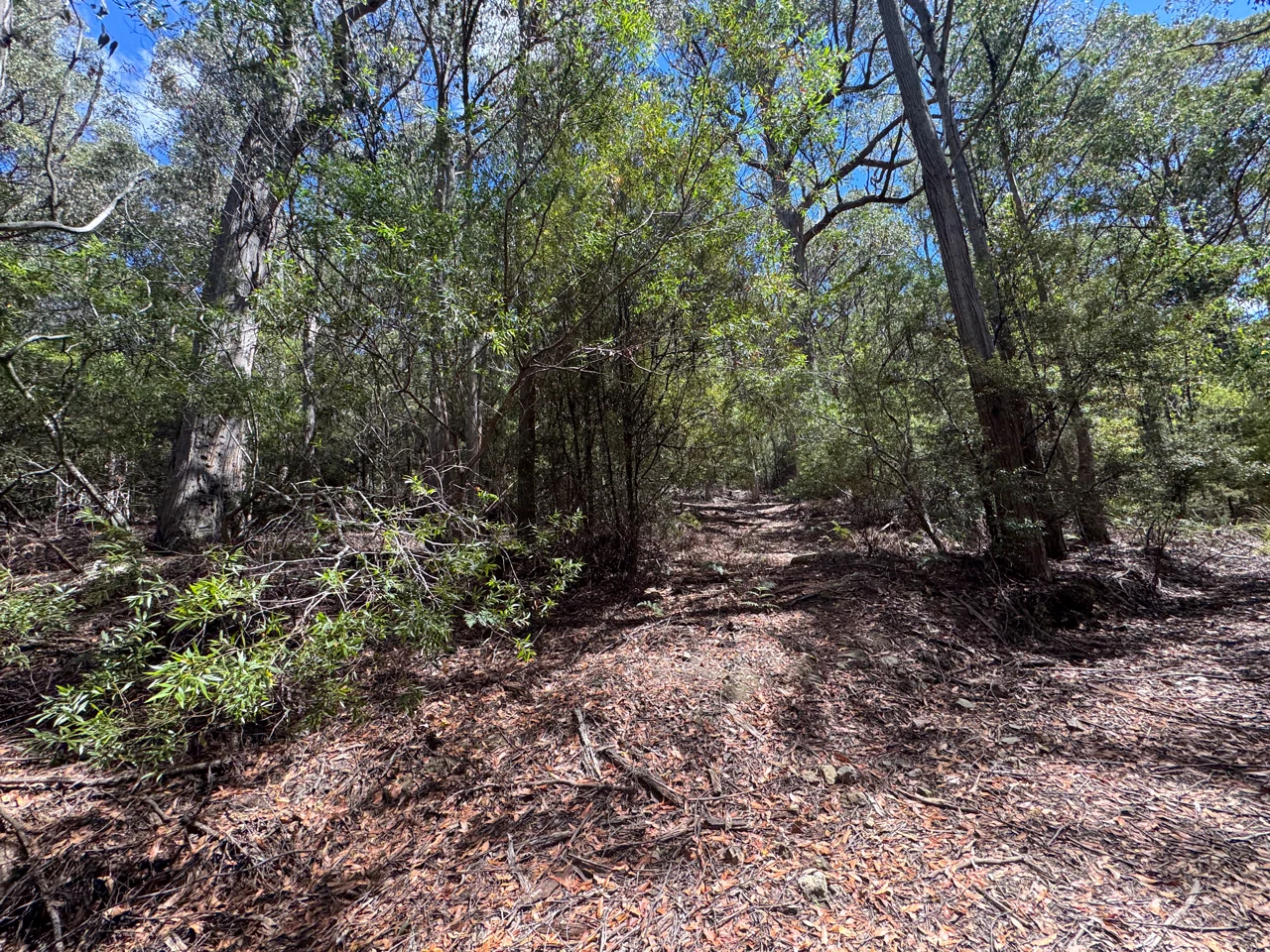 Image 12