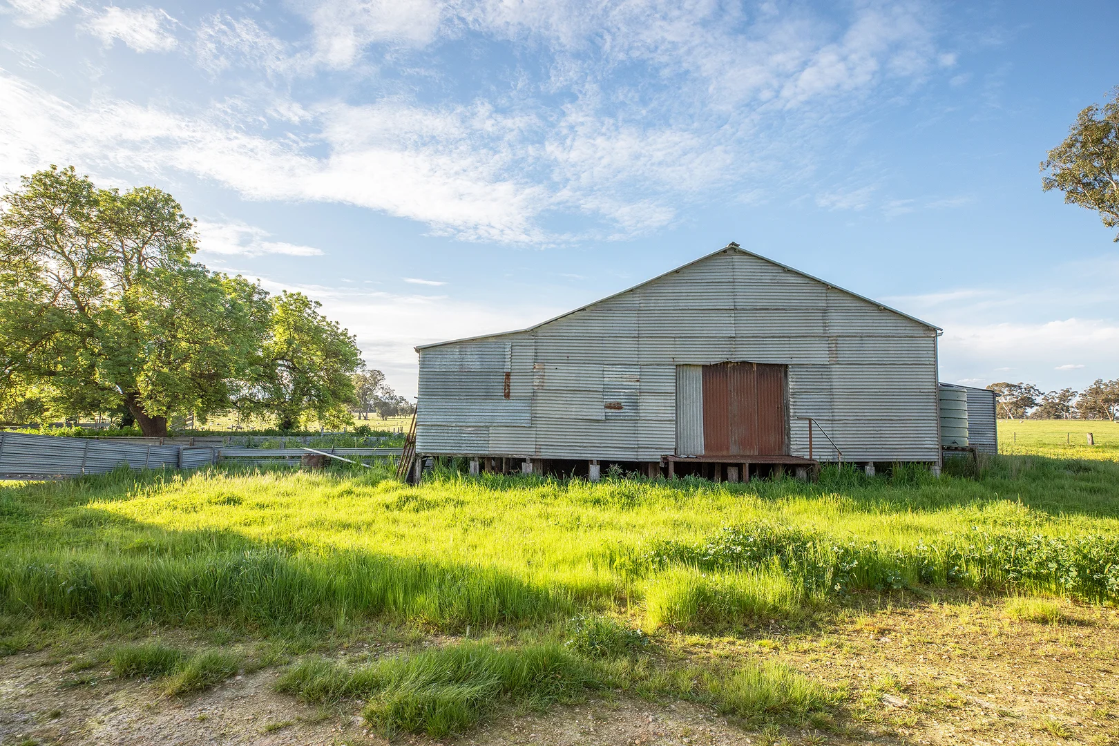 Image 29