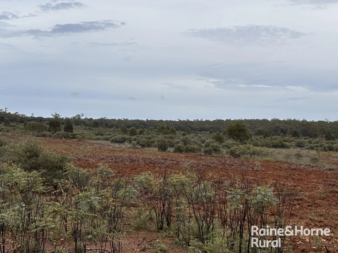 Image 10