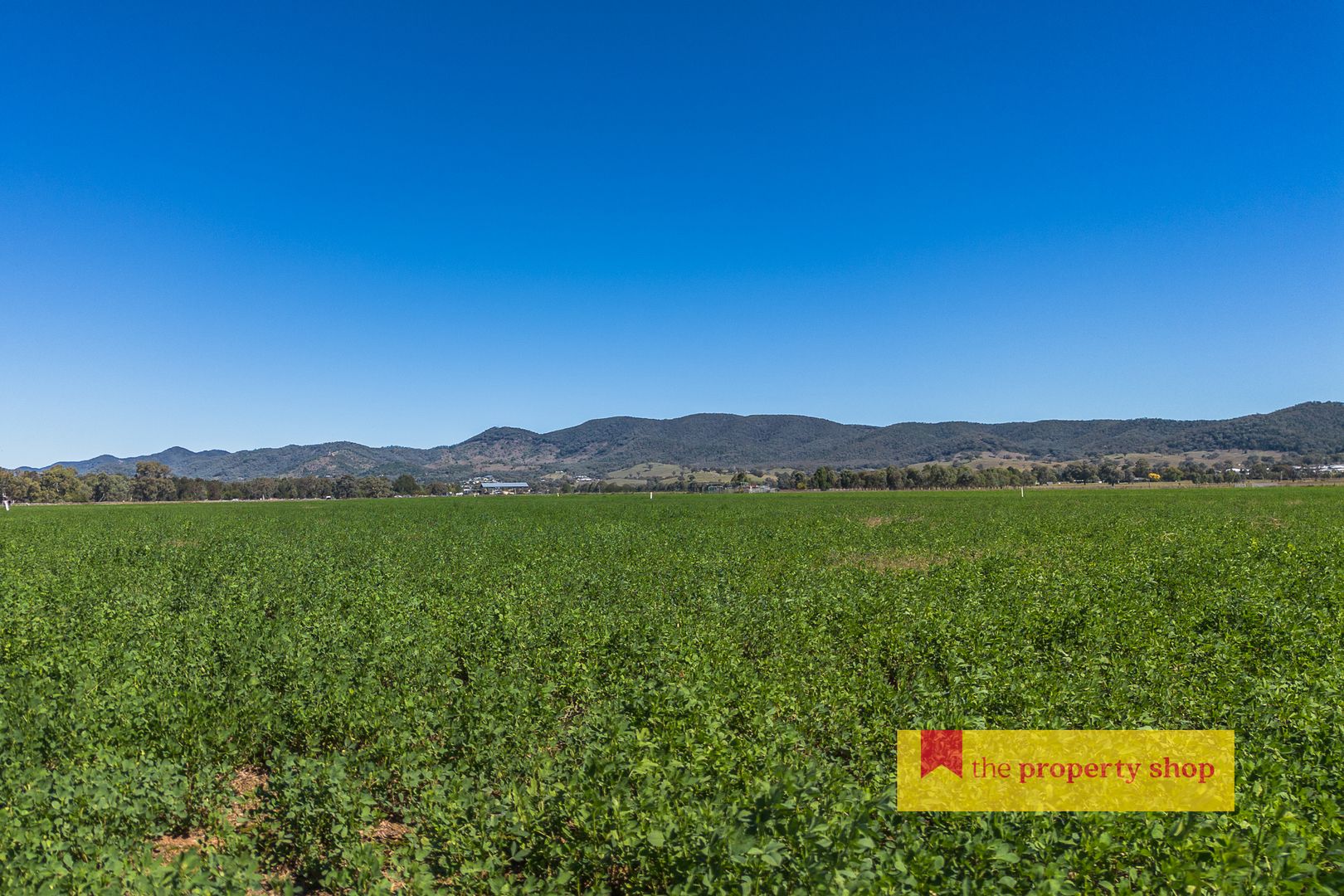 146 Wilbetree Road, Mudgee NSW 2850, Image 2