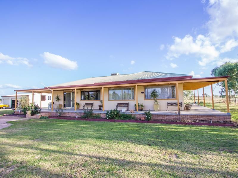 Farm 323 Koonadan Road, Leeton NSW 2705, Image 0