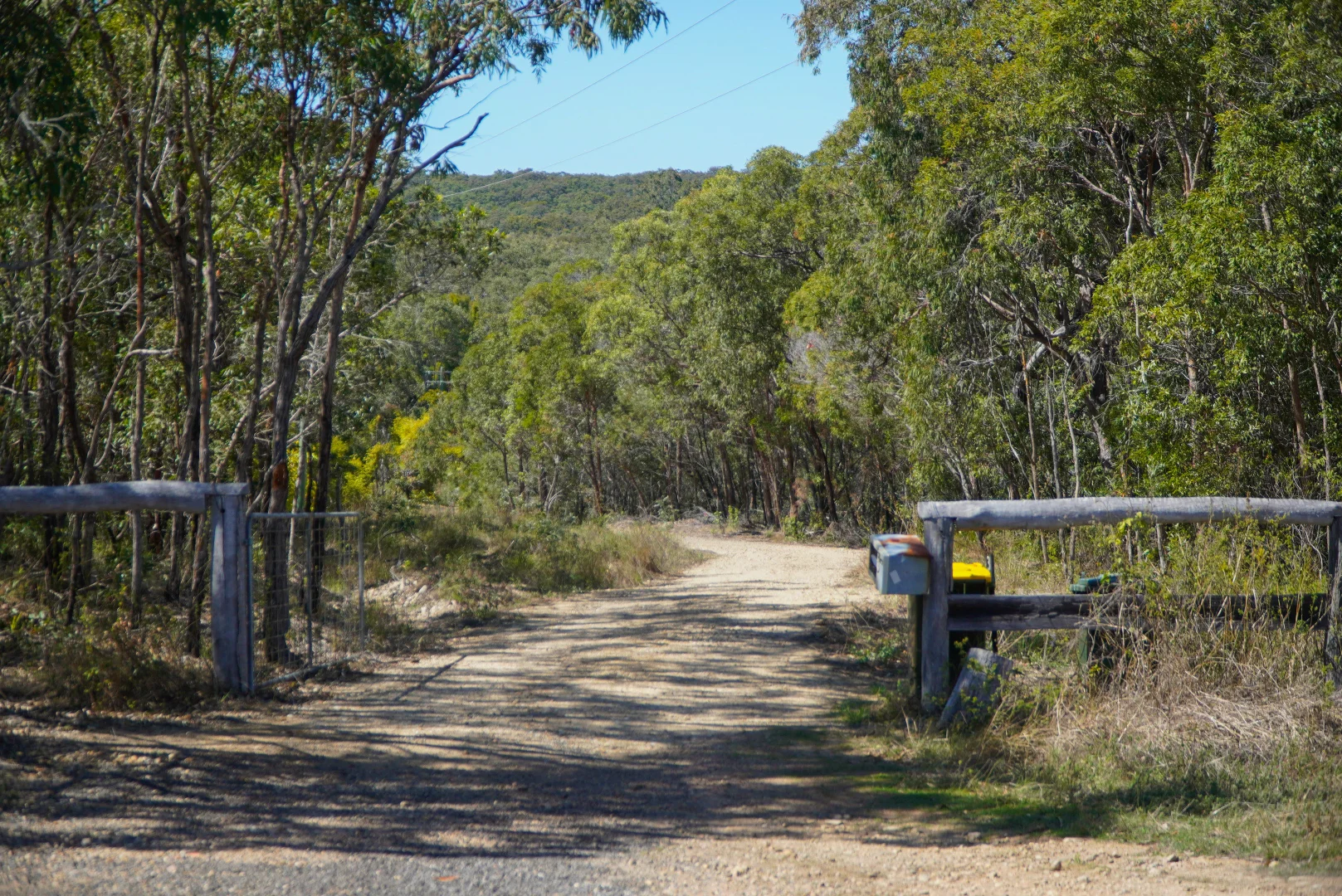 Image 6