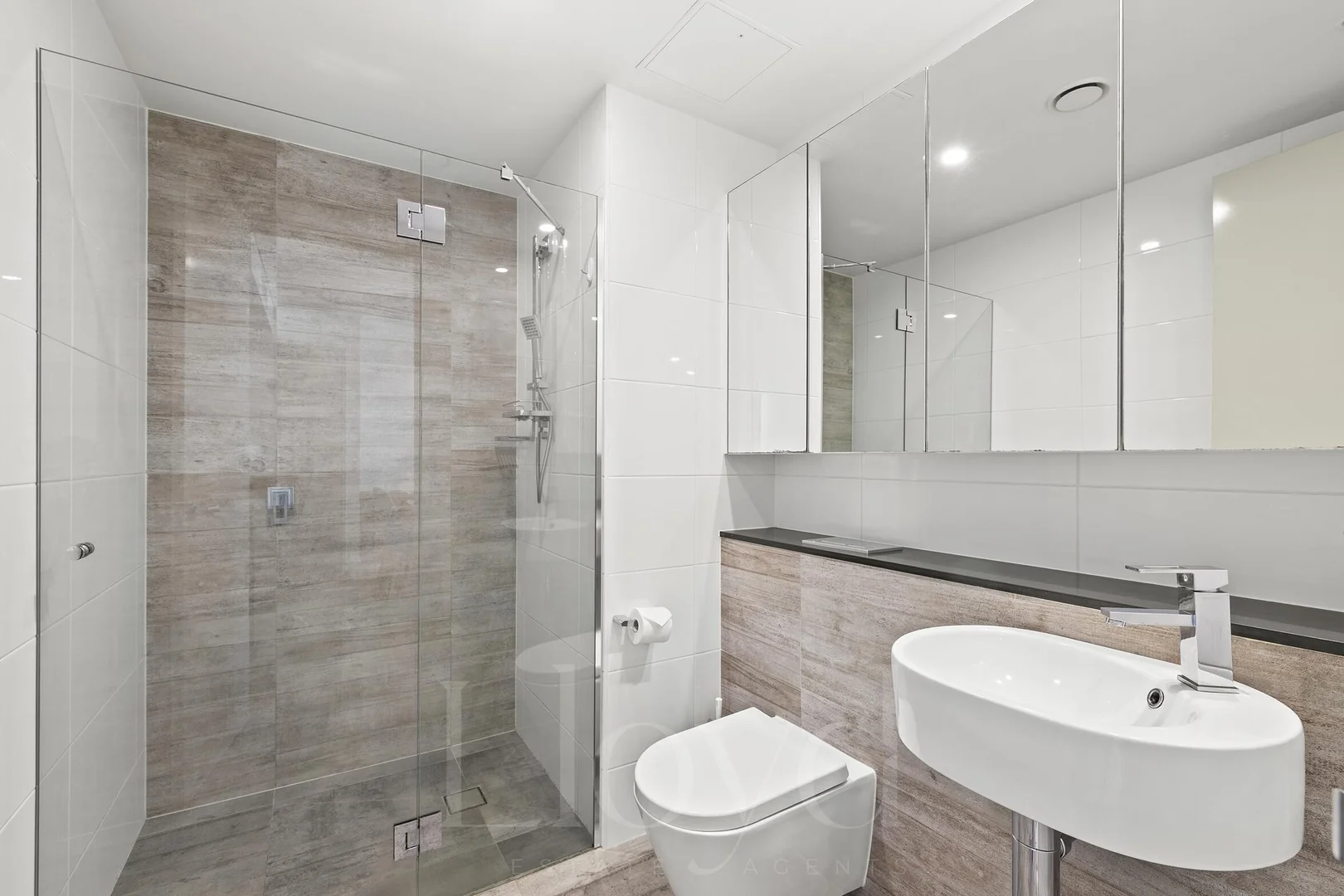 Image 16