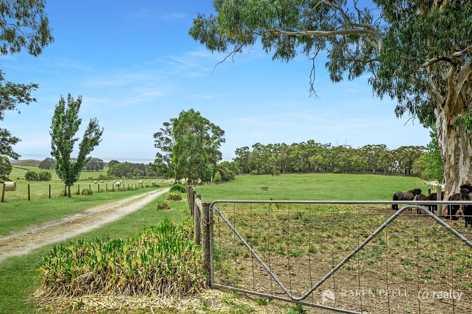 Additional image 6 of 95 Tonkin Road, Labertouche VIC 3816