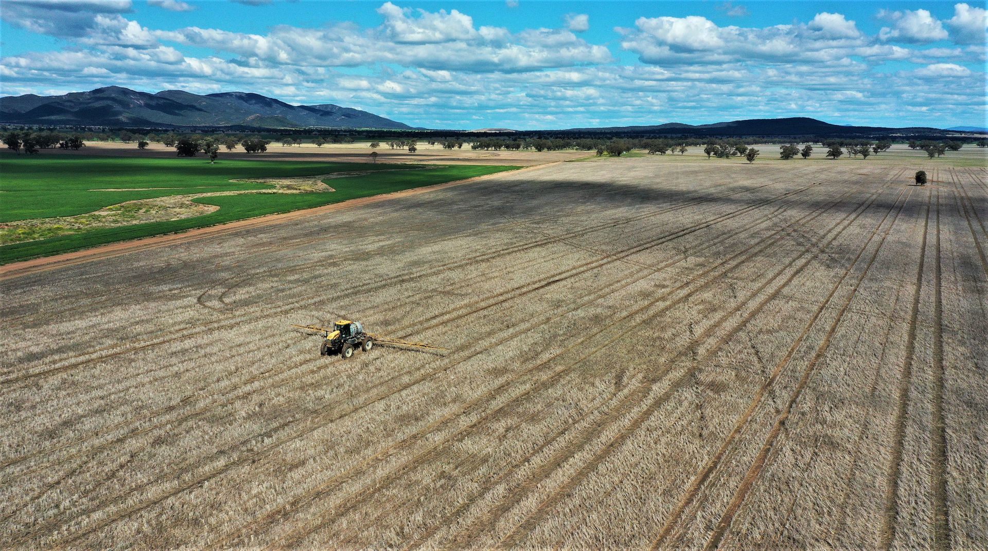 Gunnedah NSW 2380, Image 2