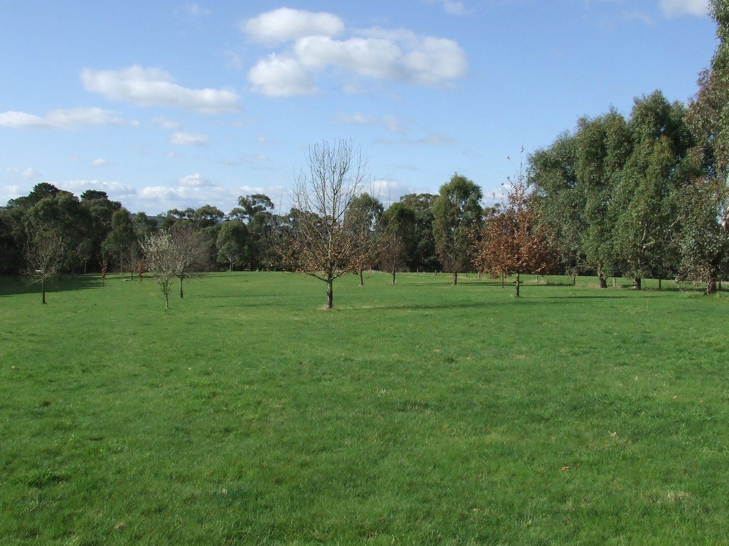 Lot 2 Golf Course Lane, Beaufort VIC 3373, Image 0